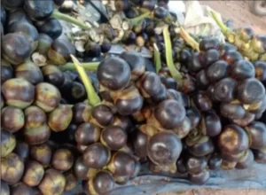 ಕರಾವಳಿಯ ವಿಶೇಷ ತಿನಿಸು, ಈ ತಾಟಿನುಂಗು (ಈರೋಳು)