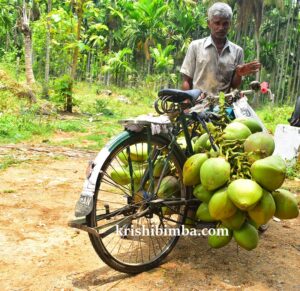 ಸಿಕ್ಕ ಅವಕಾಶದಲ್ಲಿ ಸಂತೃಪ್ತ ಬದುಕು ಕಂಡ ಎಳನೀರು ವ್ಯಾಪಾರಿ