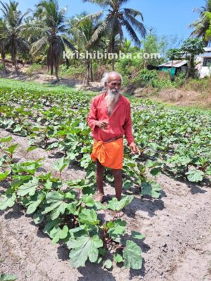 ಕೃಷಿ ಇವರಿಗೆ ಜೀವನೋಪಾಯ ಅಲ್ಲ, ನೆಮ್ಮದಿಯ ತಪಸ್ಸು!