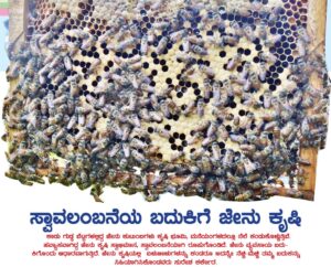 ಸ್ವಾವಲಂಬನೆಯ ಬದುಕಿಗೆ ಜೇನುಕೃಷಿ, ಖುಷಿ:ಮೂಡುಬಿಳ್ಳೆಯ ಕೃಷಿಕನ ಸಿಹಿಕನಸಿದು!