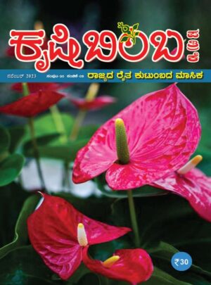 ನವೆಂಬರ್ ತಿಂಗಳ ಕೃಷಿಬಿಂಬ ದೀಪಾವಳಿ ವಿಶೇಷ ಸಂಚಿಕೆಯಲ್ಲಿ ಏನಿದೆ ಸ್ಪೆಷಲ್?