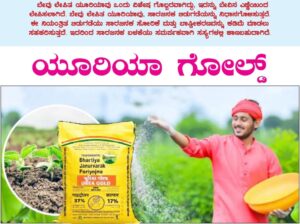 ಯೂರಿಯಾ ಗೋಲ್ಡ್ ಕುರಿತು ಕೃಷಿಕರು ತಿಳಿದುಕೊಳ್ಳಲೇಬೇಕಾದ ಸಂಗತಿಗಳು!