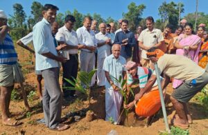 ಕಲ್ಮಡ್ಕ ಪ್ರಾ.ಕೃ. ಪ.ಸ. ಸಂಘದ ಕೃಷಿ ಭೂಮಿಯಲ್ಲಿ ಅಡಿಕೆ ಗಿಡ ನಾಟಿ ಕಾರ್ಯಕ್ರಮ