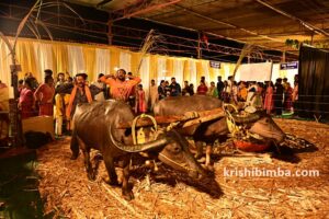 ಸಾಂಪ್ರದಾಯಿಕ ಆಲೆಮನೆಯನ್ನೇ ನೆಚ್ಚಿಕೊಂಡವರಿಬ್ಬರ ಕತೆಯಿದು!