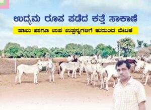 ಕತ್ತೆಗೊಂದು ಕಾಲ! ಉದ್ಯಮ ರೂಪ ಪಡೆದ ಕತ್ತೆ ಸಾಕಾಣೆ: ಹಾಲು ಹಾಗೂ ಉಪ ಉತ್ಪನ್ನಗಳಿಗೆ ಕುದುರಿತು ಬೇಡಿಕೆ