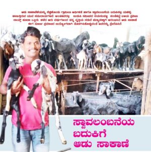 ಆಡು ಸಾಕಾಣೆಯಿಂದ ಸ್ವಾಲಂಬನೆಯ ಬದುಕು ಕಟ್ಟಿಕೊಂಡ ಯುವಕನ ಕತೆ ಇದು!