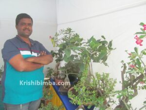 ಇಲ್ಲಿದೆ ಸುಂದರವಾದ ಕೃತಕ ಕಾಡು, ಕುಬ್ಜ ಮರಗಳ ಹಸಿರು ಲೋಕ: ಬೊನ್ಸಾಯ್ ಅನ್ನೋ ಜೀವಂತ ಕಲೆ
