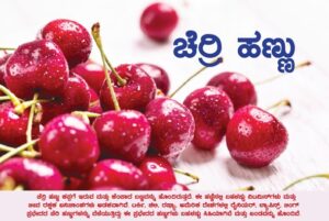 ಜಾಗತಿಕ ಮಾರುಕಟ್ಟೆ ಸೃಷ್ಟಿಸುತ್ತಿದೆ ಚರ್ರಿ ಹಣ್ಣು:ಚರ್ರಿ ಹಣ್ಣಿನ ಕುರಿತು ಒಂದಷ್ಟು ಸಂಗತಿಗಳು!