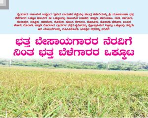 ಭತ್ತ ಬೇಸಾಯಗಾರರ ನೆರವಿಗೆ ನಿಂತ ಭತ್ತ ಬೆಳೆಗಾರರ ಒಕ್ಕೂಟ !
