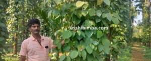ಸಮಗ್ರ ಕೃಷಿಯಲ್ಲಿ ಗೆದ್ದ ಶಿರ್ಲಾಲಿನ ಕೃಷಿಕ: ಇದು ಕೃಷಿ ಸಾಧಕನ ಯಶೋಗಾಥೆ
