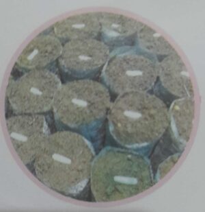 ಕಾಫಿ ಕ್ಯಾಪ್ಸುಲ್ ಸಸಿ ತಯಾರಿಗೆ ಹೊಸ ತಂತ್ರಜ್ಞಾನ