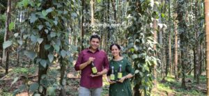ಸ್ವದೇಶಕ್ಕೆ ಮರಳಿ ಪಾನೀಯ ಉದ್ಯಮ ಕಟ್ಟಿದ ದಂಪತಿ: ಕಾಳುಮೆಣಸು ನಿಂಬೆ ಮೌಲ್ಯವರ್ಧಿತ ಸಾರದಿಂದ ತಯಾರಾಯ್ತು ತಂಪು ಪಾನೀಯ: