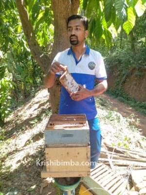 ಸ್ನಾತಕೋತ್ತರ ಪದವೀಧರನಿಗೆ ಸಿಹಿ ನೀಡಿತು ಜೇನು ಕೃಷಿ!