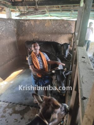 ಸಮ್ಮಿಶ್ರ ಬೆಳೆಯಿದ್ದರೆ ಆರ್ಥಿಕತೆಗೆ ಬಲ:ಸಮಗ್ರ ಕೃಷಿಯಿಂದ ನೆಮ್ಮದಿ ಕಂಡ ಕಾರ್ಕಳ ಮುಡಾರಿನ ಕೃಷಿಕ