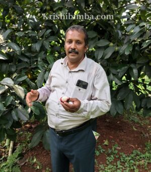 ಇಲ್ಲಿದೆ ಅಪೂರ್ವ ಹಣ್ಣಿನ ಗಿಡಗಳ ಮೋಹಕ ಲೋಕ: ಬೈಂದೂರಿನ ಬೆನ್ನಿ ಪಿ.ಸಿ ಅವರ ತೋಟದಲ್ಲಿದೆ ಅಪರೂಪದ ಹಸಿರ ಸಂಪತ್ತು