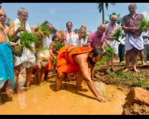 ಶುದ್ಧ ನೈವೇದ್ಯ ಸಮರ್ಪಣಂ, ಗದ್ದೆಯಿಂದ ಗರ್ಭಗುಡಿಗೆ ,ಸಾವಯವ ಭತ್ತಕ್ಕೆ ಜೀವ ತುಂಬುವ ಅಭಿಯಾನ