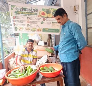 ಆರೋಗ್ಯದ ಹಸಿರು ಅಮೃತ ಈ ಅವಕಾಡೊ: ಬೆಣ್ಣೆ ಹಣ್ಣಿನ ಬಗ್ಗೆ ಒಂದಷ್ಟು!