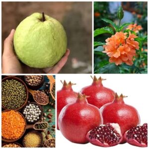ಉತ್ತರ ಕರ್ನಾಟಕದಲ್ಲಿ ನೀರಿನ ಒತ್ತಡ- ಪರಿಸ್ಥಿತಿಗೆ ಹೊಂದುವ ತೋಟಗಾರಿಕೆ ಬೆಳೆಗಳಿವು!