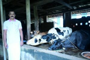 ಮಾತು ‘ಮೌನ’ವಾದರೂ ಹೈನುಗಾರಿಕೆಯಲ್ಲಿ ಇವರು ಬಂಗಾರ: ಹೈನು ಕಾಯಕದಲ್ಲಿಯೇ ಮಾತನಾಡಿದ ಯಶಸ್ವಿ ಹೈನುಗಾರನ ಕತೆಯಿದು!