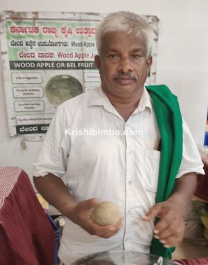 ಬದುಕು ಕೊಟ್ಟಿತು ಬೇಲದ ಹಣ್ಣು: ಬೇಲದ ಹಣ್ಣಿನ ಪಾನೀಯದಿಂದ ಆದಾಯದ ದಾರಿ ಕಂಡುಕೊಂಡ ಕೃಷಿಕ